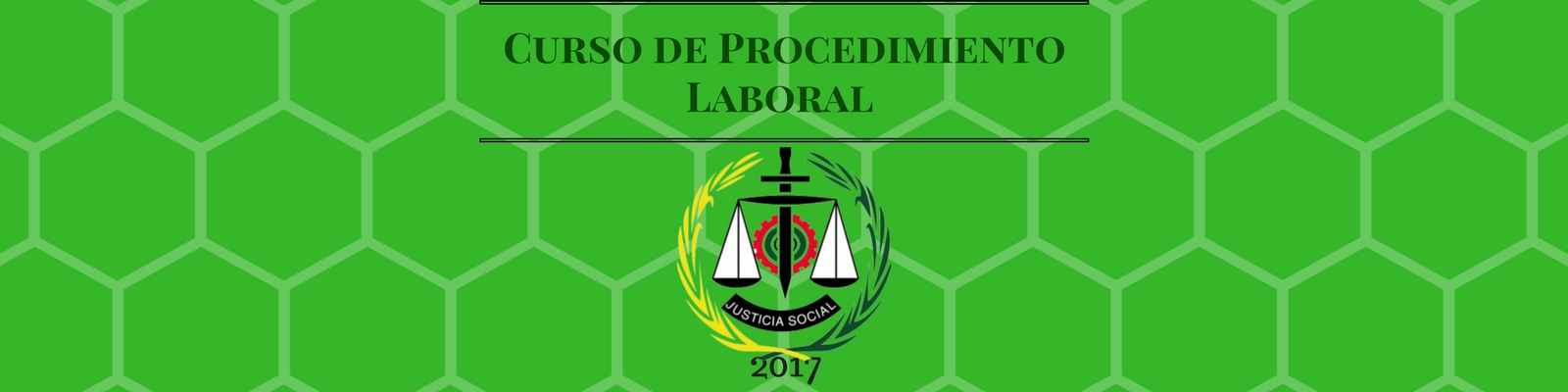 Curso de Procedimiento Laboral Año 2017